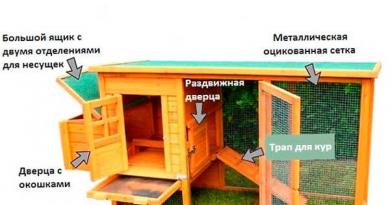 Как построить курятник: инструкция по возведению “особняка для кур” на даче Курятник из подручных материалов